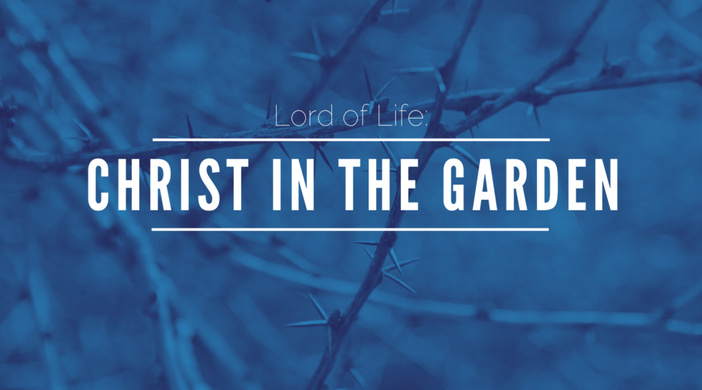 Christ in the Garden Image