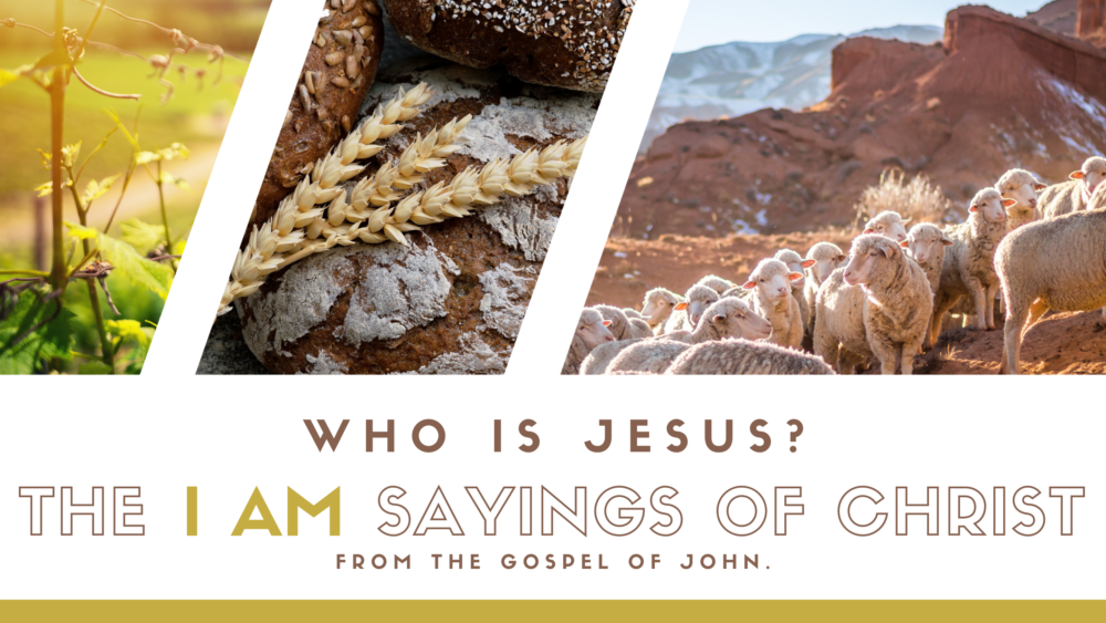 Who is Jesus? The I AM Sayings of Christ